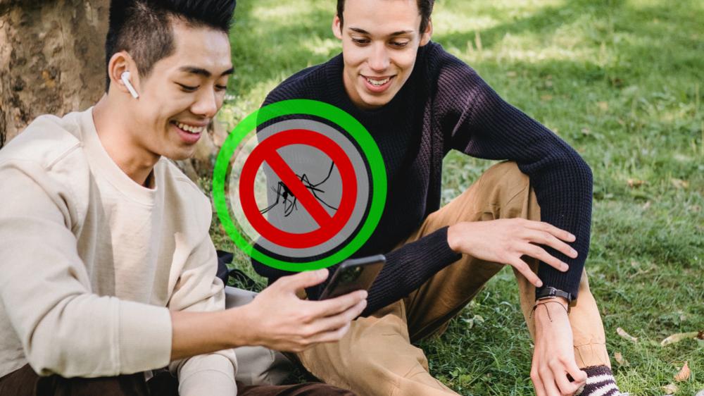 Experimental electronic repellent of mosquitos and flies