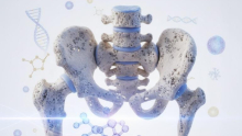 Scientists discover new hope for the treatment and prevention of osteoporosis.