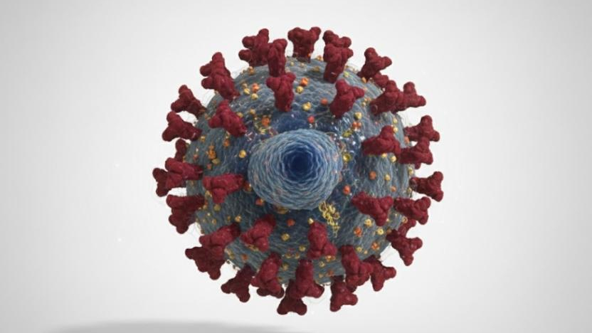 German scientists discover new antibody with great potential to be a cure for the HIV virus.