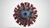 German scientists discover new antibody with great potential to be a cure for the HIV virus.