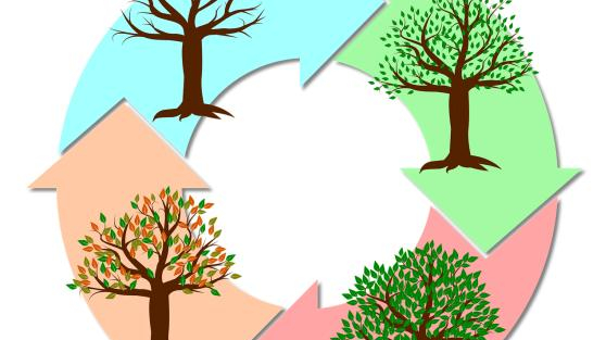 Product life cycle (PLC)