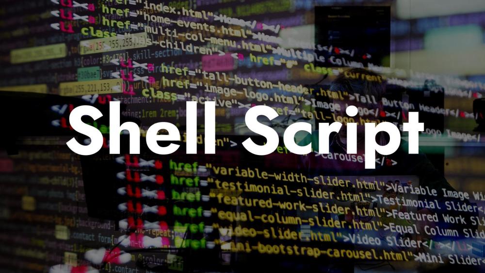 Shell Script